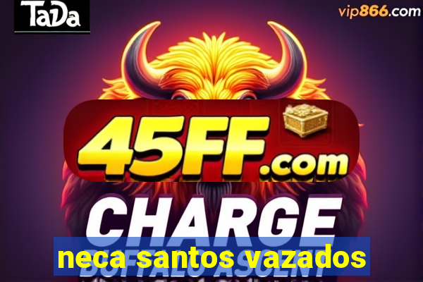 neca santos vazados